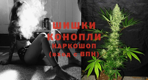PSILOCYBIN Балахна