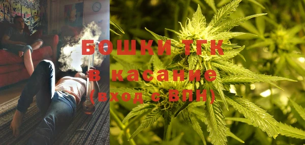 PSILOCYBIN Балахна